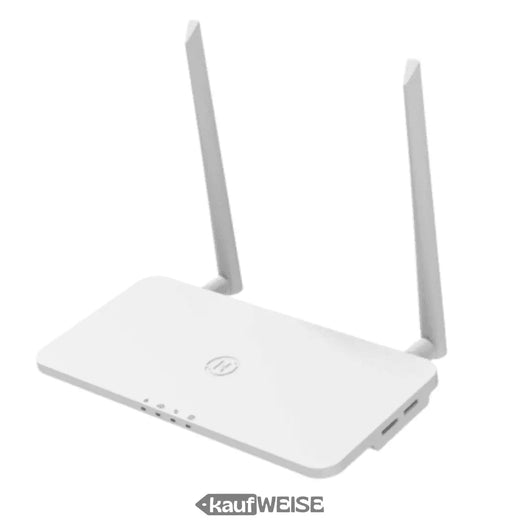 Hoymiles DTU-Pro-S – WLAN adatgyűjtő mikroinverterekhez | Felügyelet és felügyelet